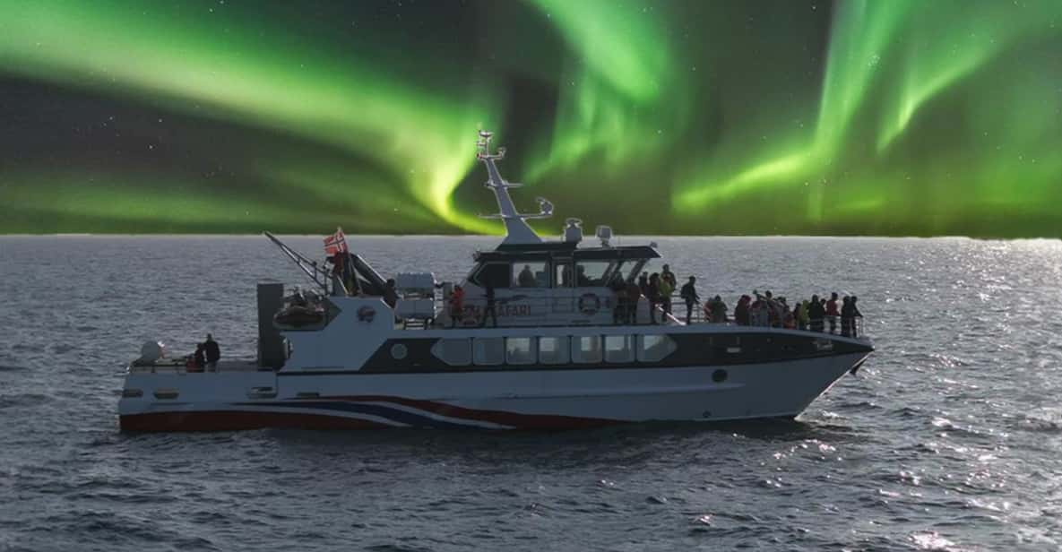 Tromsø Northern Lights Safari on MS Trolltind Nordic - Meeting Point