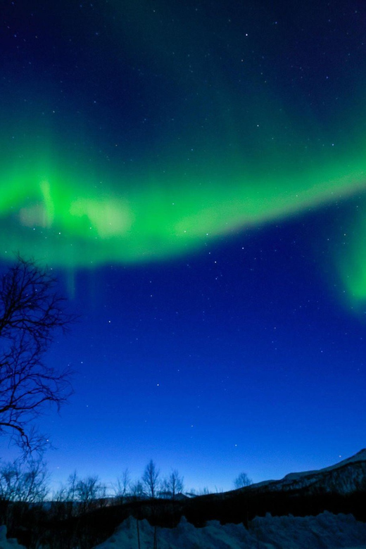 Tromsø: Northern Lights Tour With Photography (Chinese) - Inclusions