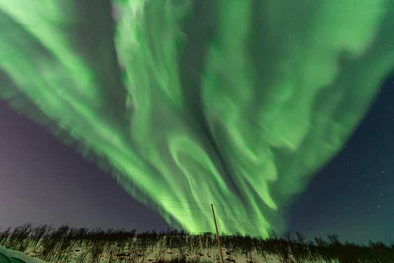 Tromsø: Northern Lights Tour With Photos and Warm Suits - What to Expect on the Tour