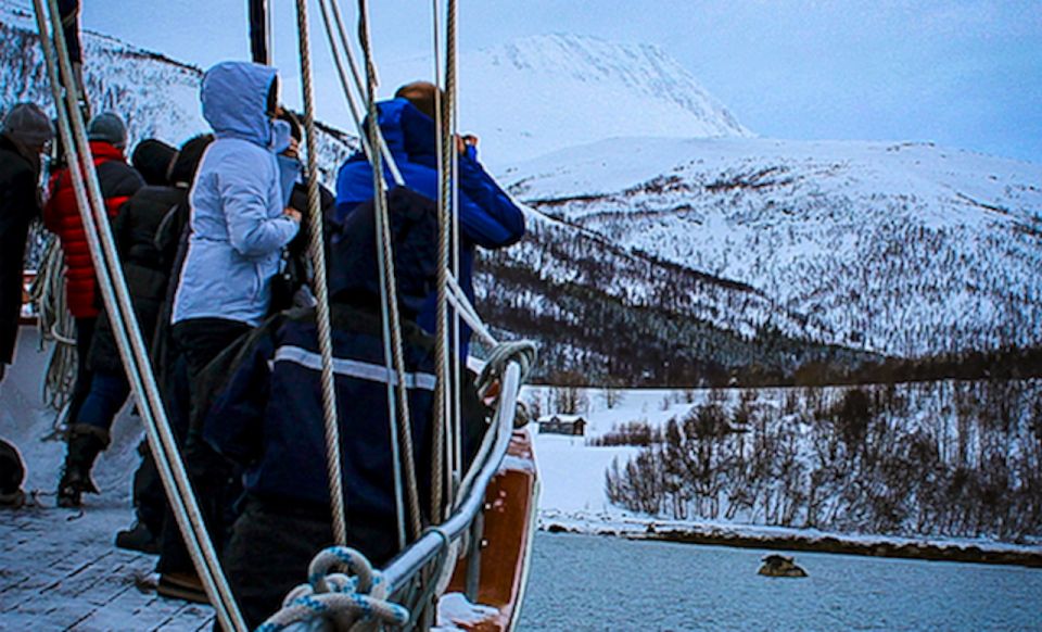 Tromsø: Polar Fjord Cruise on a Luxury Yacht With Lunch - Gourmet Dining Experience