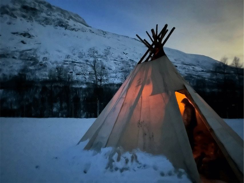 Tromsø: Reindeer Experience in Sami-Camp - Booking Information