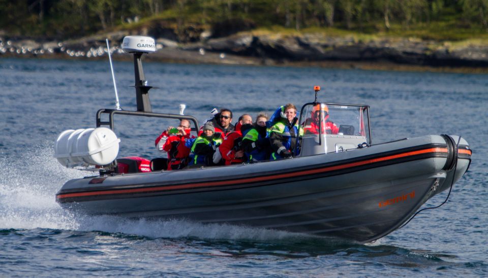 Tromso: RIB-Boat Excursion to Hella - Inclusions and Exclusions