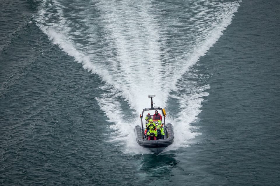 Tromsø: Skjervøy RIB Whale Watching Tour - Experience Highlights