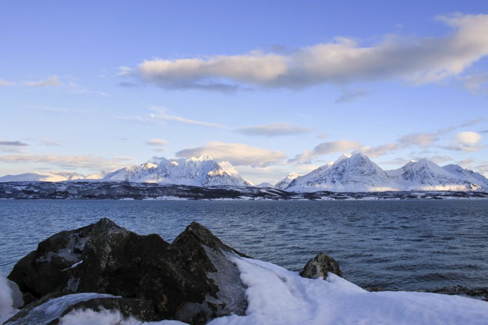 Tromsø: Wildlife Bird Fjord Cruise With Lunch and Drinks - Itinerary Details