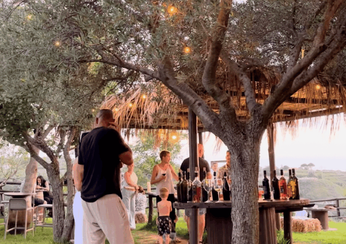 Tropea: Wine and Food Tasting - Notification and Appointment Confirmation