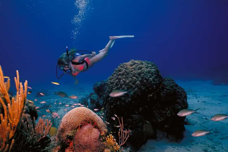 Try Scuba Diving in Racha Yai/noi: 3 Dives for Non-Certified - Diving Sessions and Safety