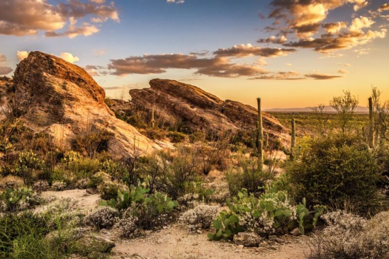Tucson: Mt Lemmon & Saguaro NP Self-Guided Bundle Tour - Highlights of the Tour