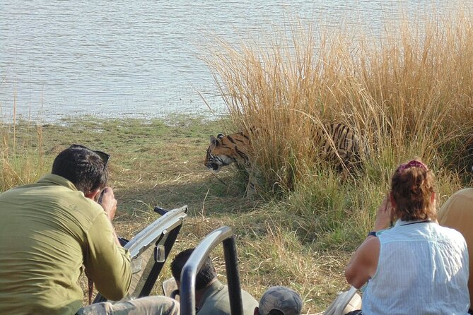 Two Night Safari Experience Ranthambore National Park &Transfers - Accommodation Options