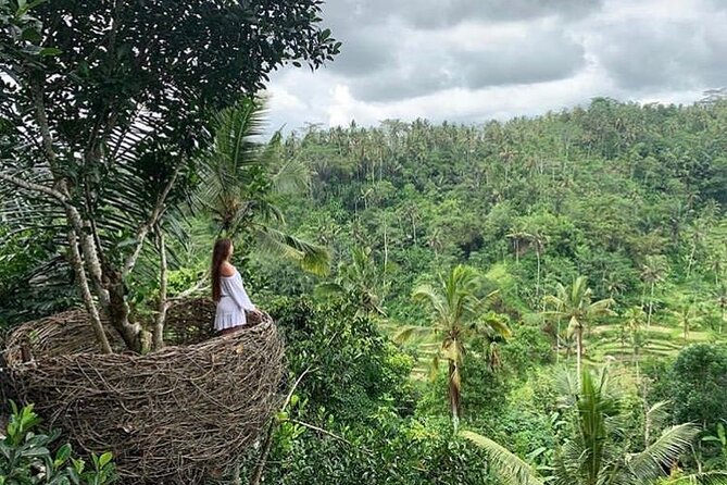 Ubud Waterfall, Rice Terraces, and Swing Explore - Ubud Rice Terraces Swing