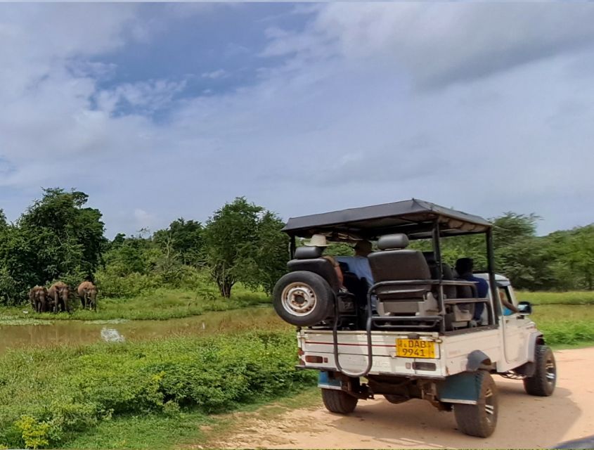 Udawalawe National Park Safari Tour - Safari Experience