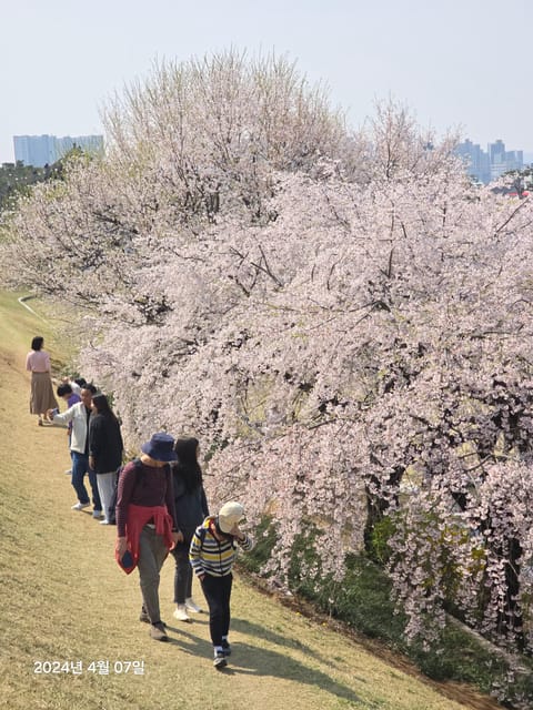 Unesco Heritage, Suwon Hwaseong Fortress, and Folk Village - Historical Significance of Suwon Hwaseong Fortress