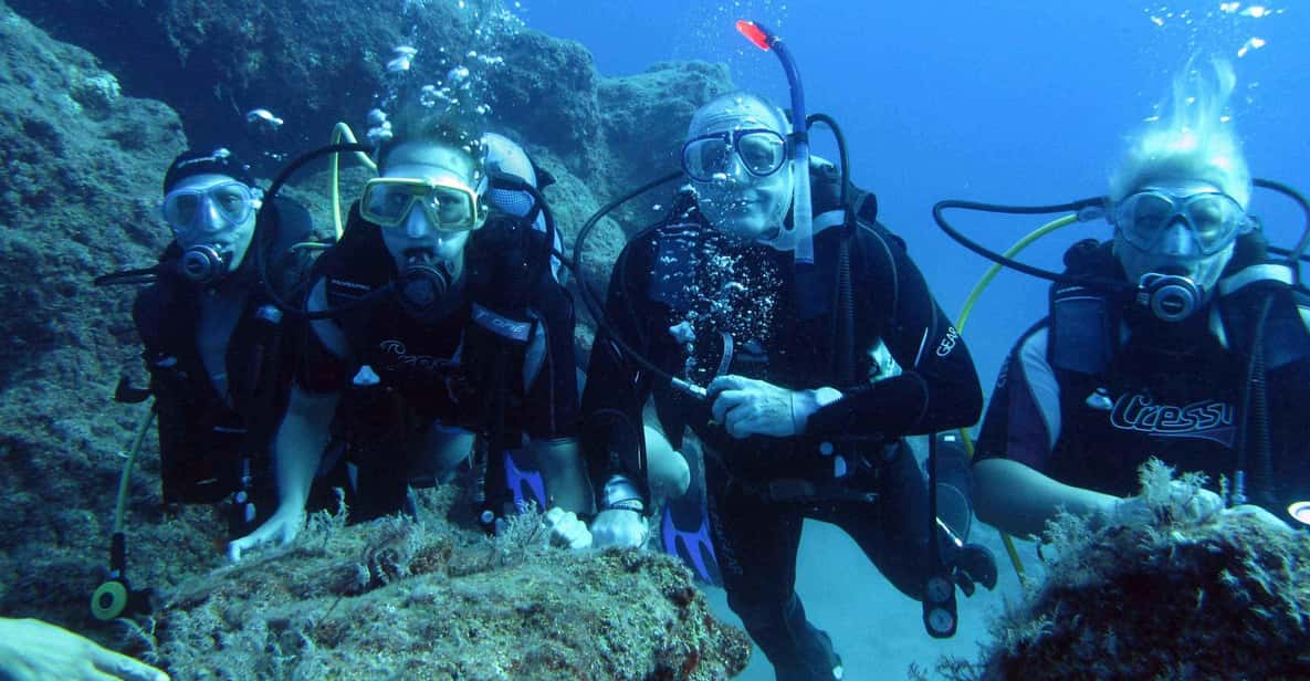 Unforgettable Diving Experience: From Beginners to Advanced - Transportation Details