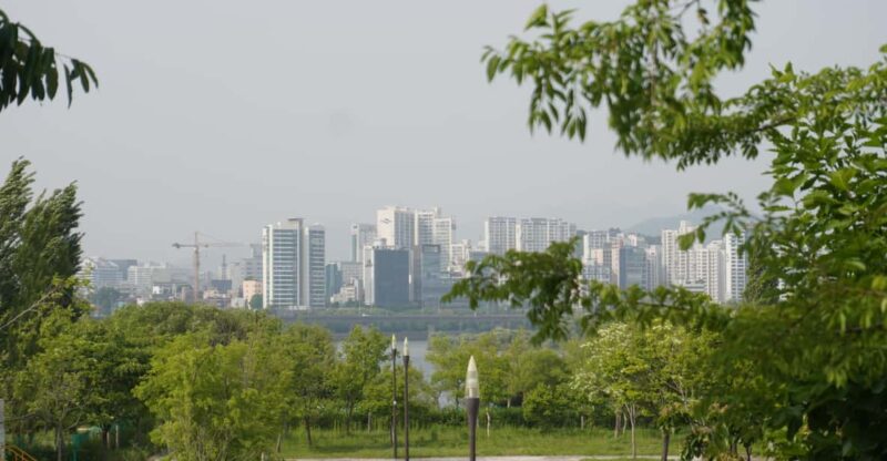 Unique Native Experience : Han River Picnic, Board Game, BBQ - Cultural Engagement