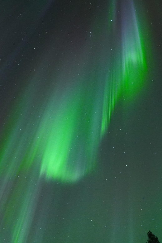 Unlimited Range! Northern Lights Photo Safari - Photography Quality