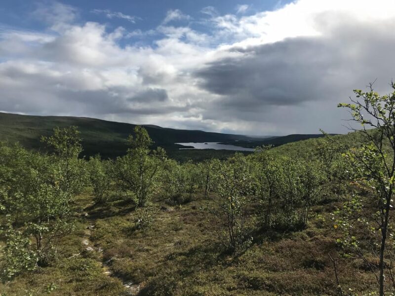 Utsjoki: Guided Hike to Nearby Fells - Included Amenities and Services