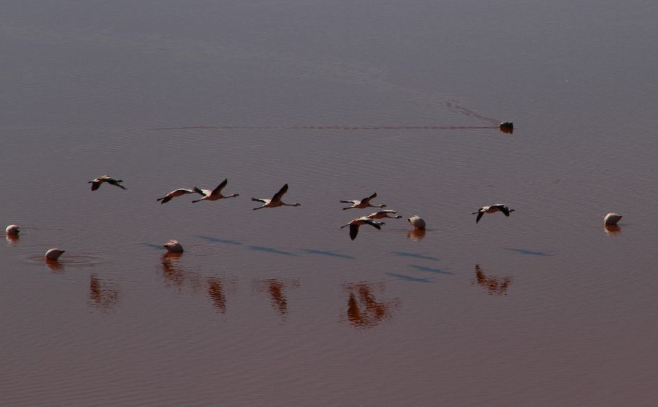 Uyuni Salt Flat Private Tour From Chile in Hostels - Meals Provided