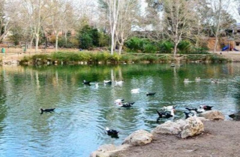 Valencia: Anna Alhambra and 3 Waterfalls Guided Tour - Cancellation Policy