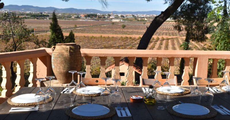 Valencia: Utiel-Requena Cave & Winery Day Trip With Tasting - Caves and Wineries Explored