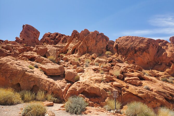 Valley of Fire State Park Tour W/Private Option (2-6 People) - Health and Safety Guidelines