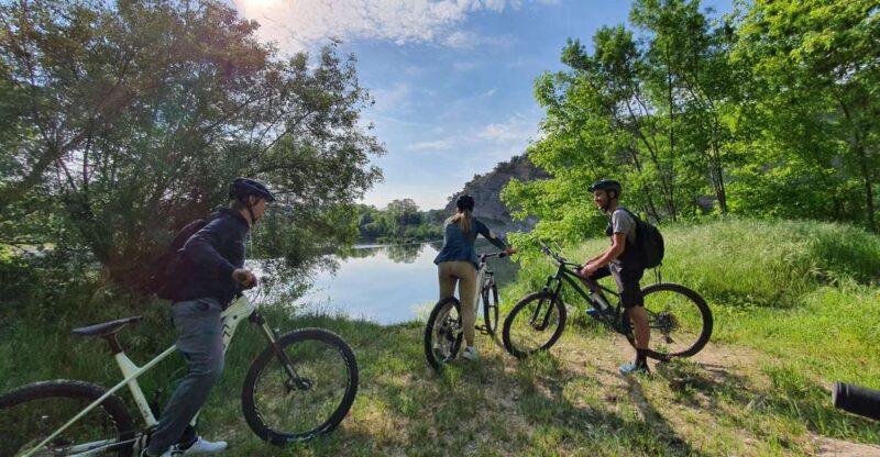 Vallon-Pont-dArc: Electric Bike Wine Tour & Tasting - Experience Highlights