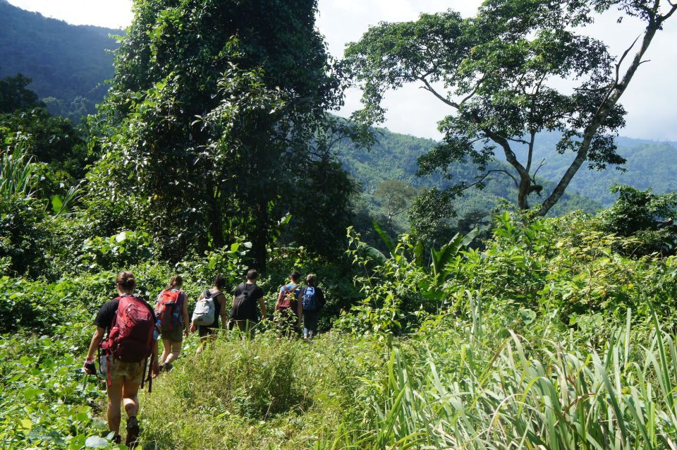 Vang Vieng: Jungle & Caves Full-Day Private Trekking Tour - Included in the Tour