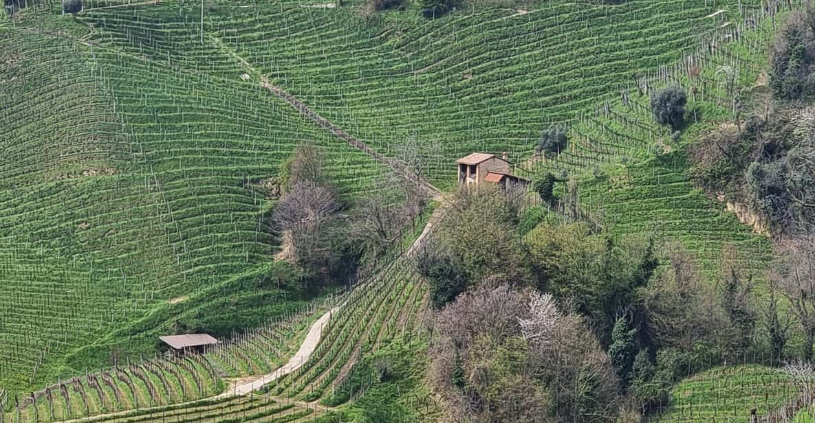 Venice : Prosecco Hills Tour With Tasting and Wine!! - Route and Activity Details