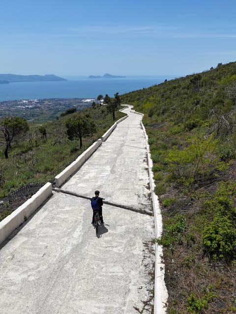 Vesuvio Bike Tour: Summit Ride, Ticket & Tasting Experience - Experience Highlights