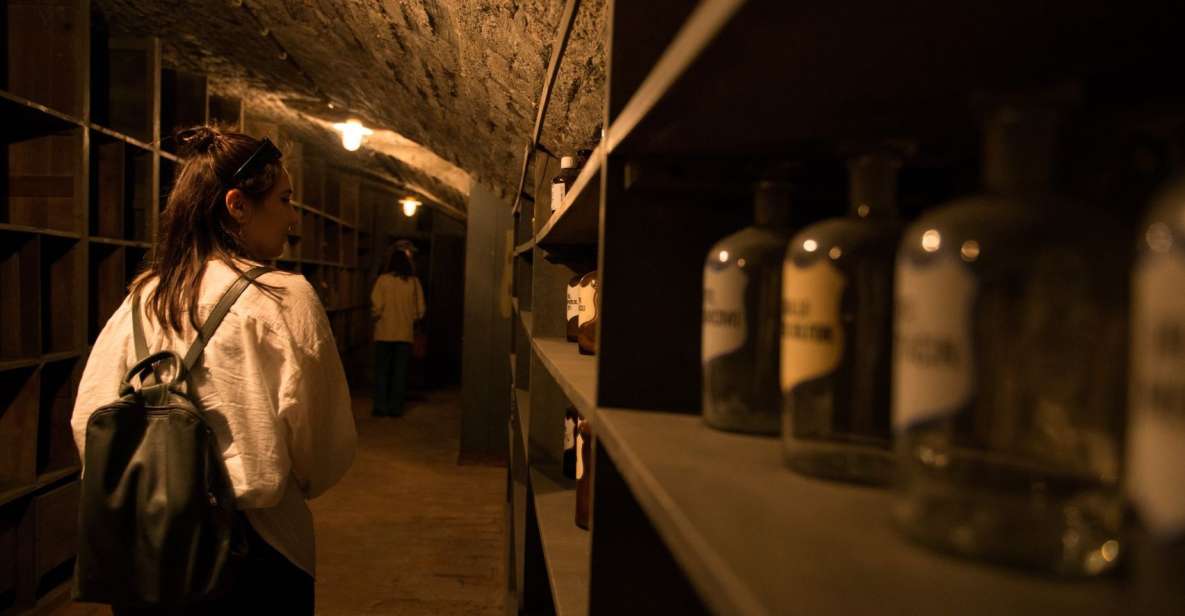 Vienna: Historical Pharmacy Cellar Guided Tour - Whats Included in the Tour