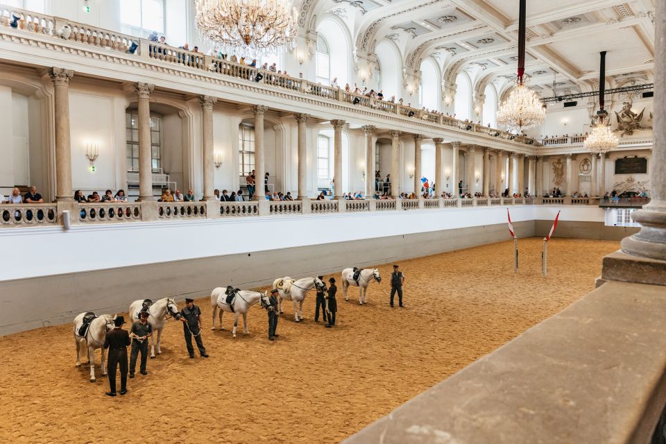 Vienna: Spanish Riding School Training - Training Insights