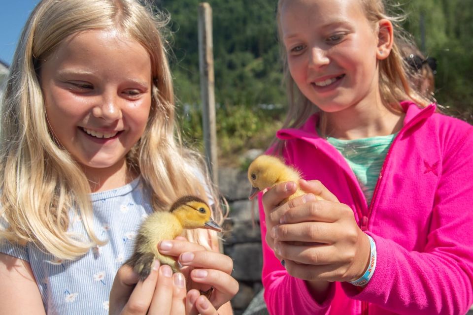 Vik I Sogn: Authentic Farm Visit - Scenic Views and Surroundings