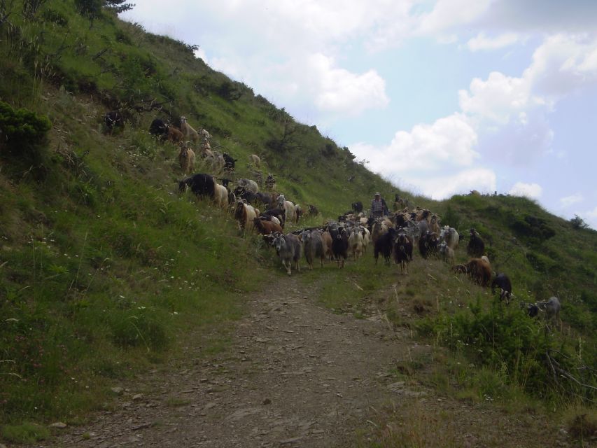 Vikos Gorge Beloi Viewpoint 3-Hour Hike - Pricing and Booking Information