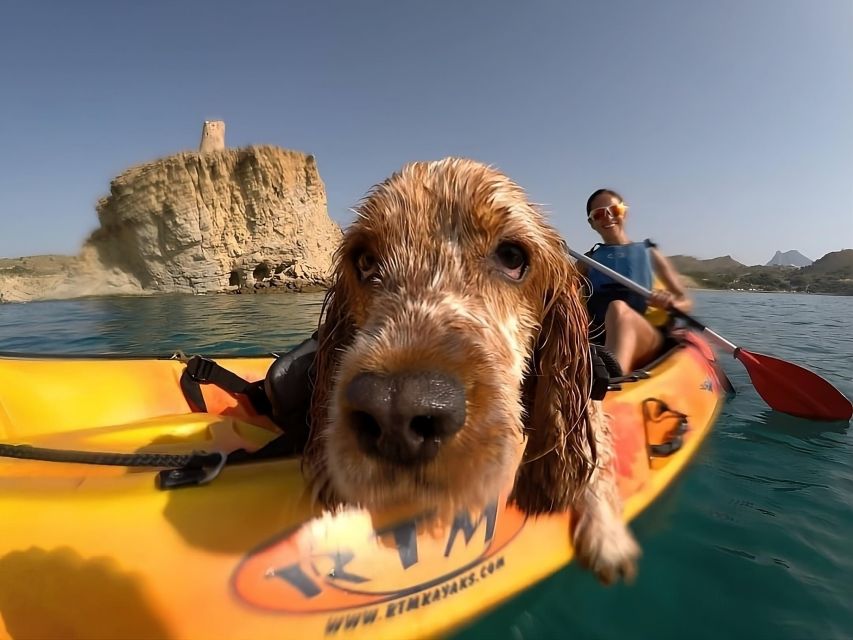 Villajoyosa: Kayaking With the Mans Best Friend, Your Dog - Preparing for the Adventure