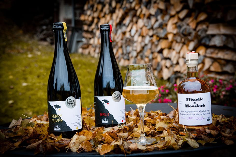 Villingen-Schwenningen: Guided Cider Tasting at the Farm - Tasting Details