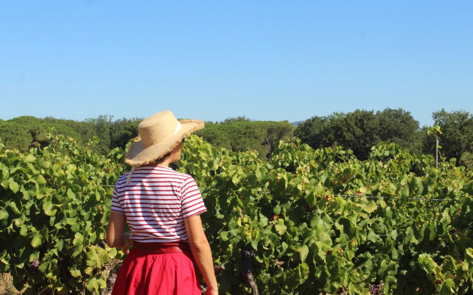 Vintage Wine Tour in Saint-Tropez - Vintage Car Experience