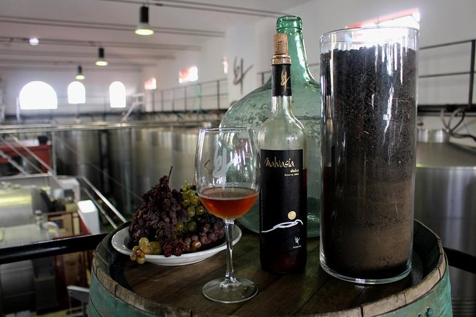 Visit Bodegas Teneguía Winery in La Palma With Wine Tasting - Tasting Area and Wine Selection