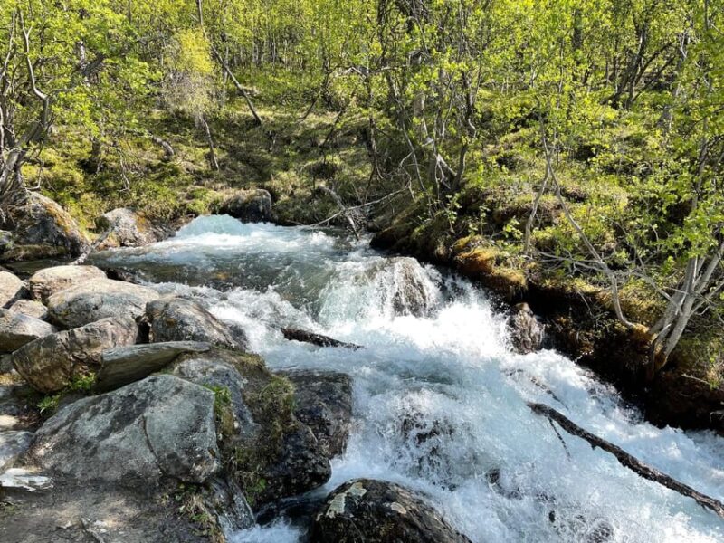 Visit Bubbelen, River Comes Out of the Ground. - Itinerary Highlights