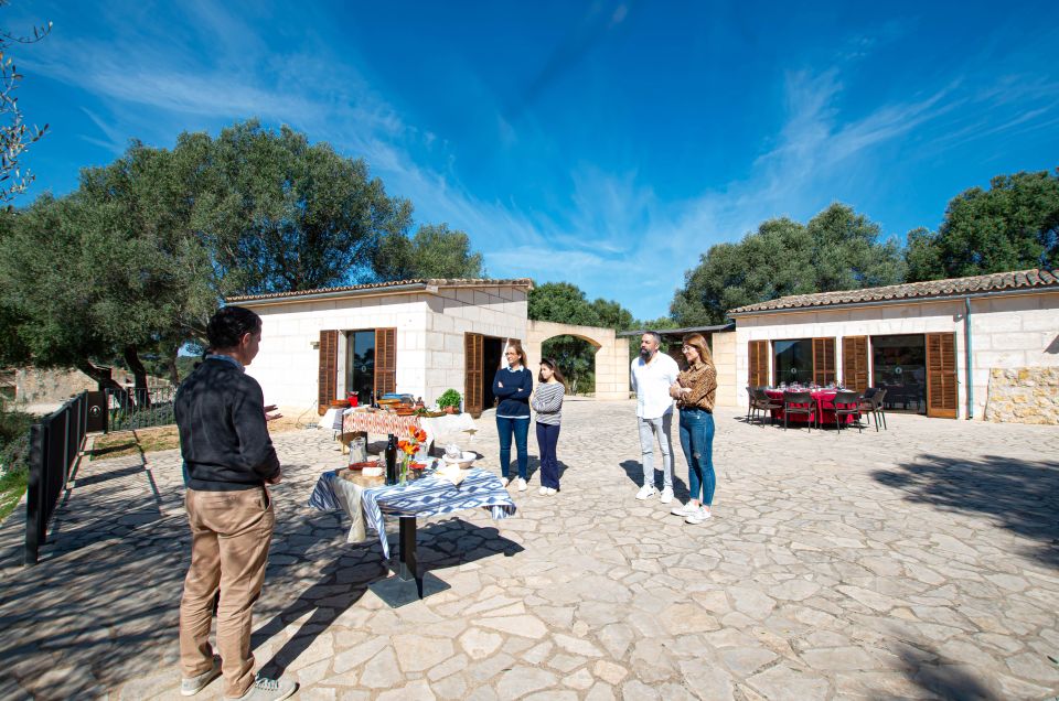 Visit of the Olive Grove, Olive Oil Tasting and Snack - Booking Information