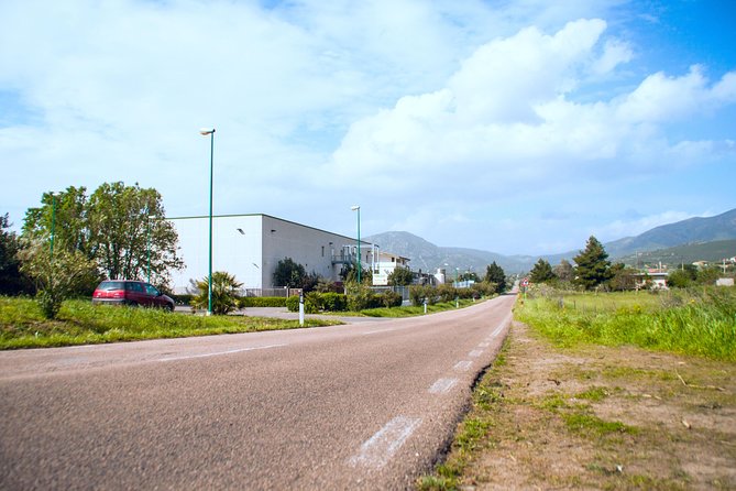 Visit to the Dairy - Highlights of the Tour Activities