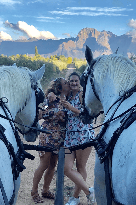 Vrede En Lust Wine Estate: 1H30M Carriage Ride & Wine Taste - Carriage Ride Highlights