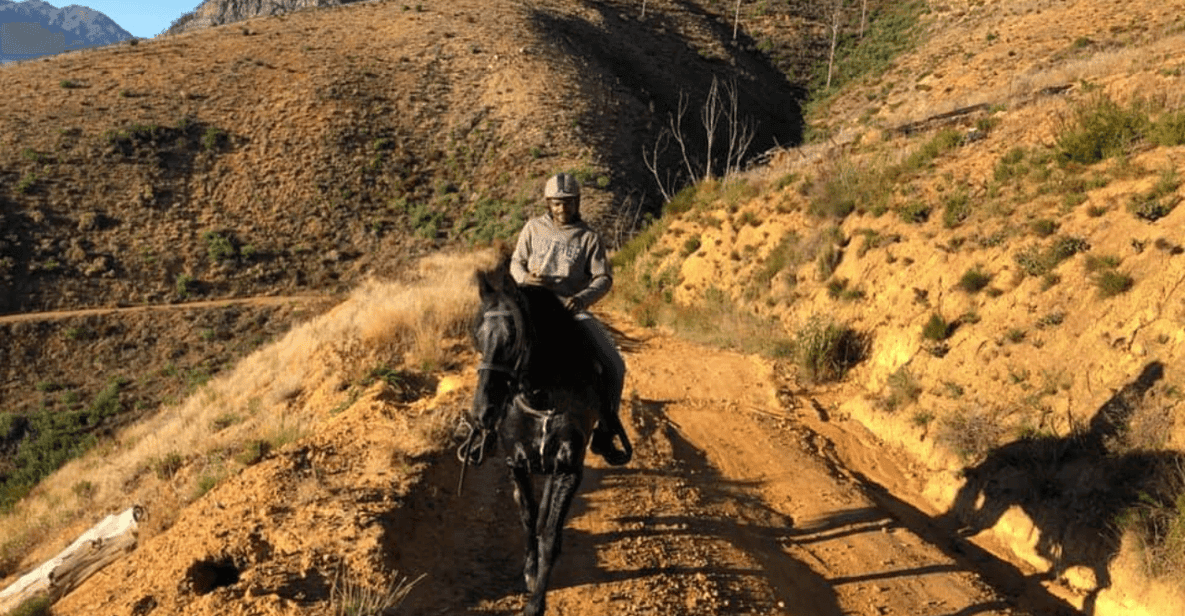 Vrede En Lust Wine Estate: 1h30m Horse Trail Ride - Safety and Requirements