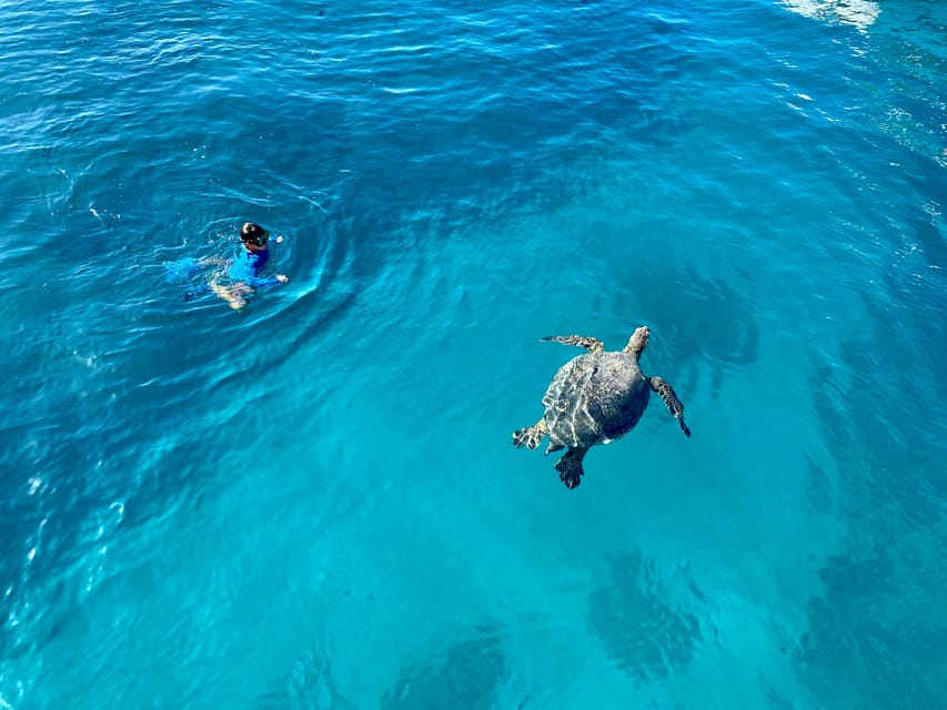 Waikiki: Sea Turtle Snorkeling, Small Group Boat Tour - Equipment and Safety