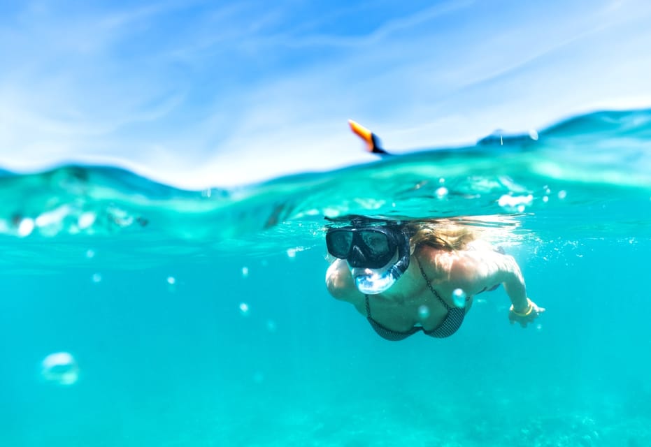 Waikiki: Turtle Snorkeling Cruise With 20FT Jumping Platform - Pickup and Transportation