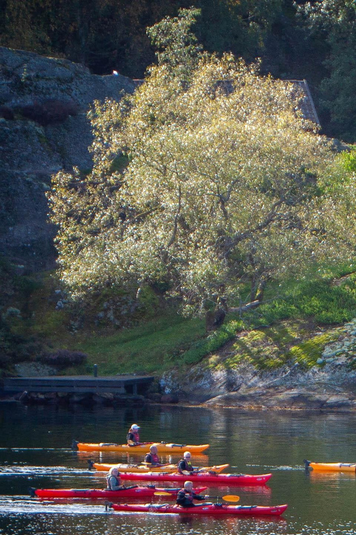 West Sweden: Sea Kayak Delight in Nature Reserves - Detailed Itinerary