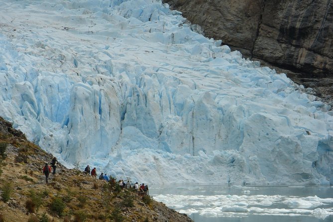 Whales, Penguins & Glaciers Navigation From Punta Arenas - Accessibility and Requirements