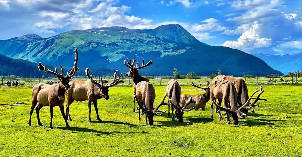 Wildlife Center With Lunch & Local Beer Sampling - Wildlife and Experiences