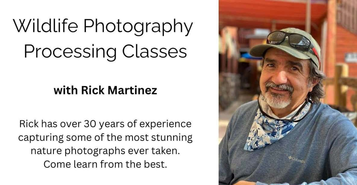 Wildlife Photography Processing Class - Class Size and Format