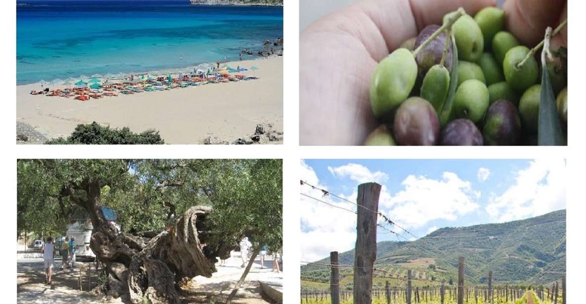 Wine and Olive, Falasarna Beach Day Tour - Fun Activities at the Beach