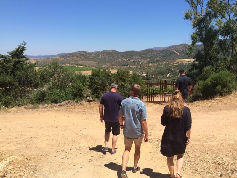 Wine Experience Around Cagliari - Itinerary Overview