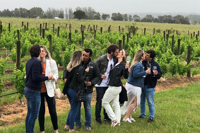 Wine Lovers - Enjoy a Gourmet Lunch in the Countryside! - Personalized and Memorable Experience