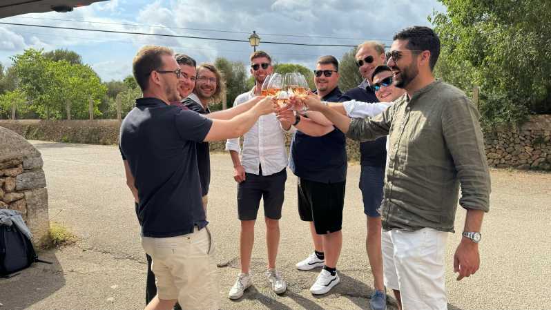 Wine Sunday in Mallorca - Captivating Live Music Performances